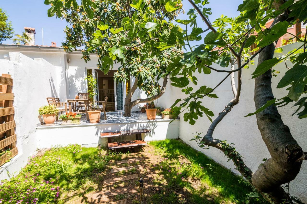 Apartments Terra بيوغْغاد نا موغو المظهر الخارجي الصورة